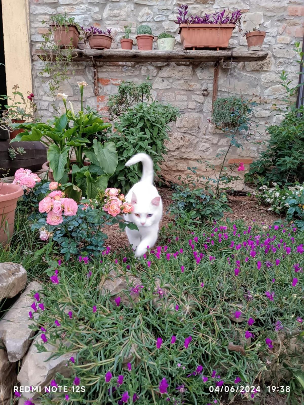 La Casa Dei Breton Lägenhet Magione Exteriör bild