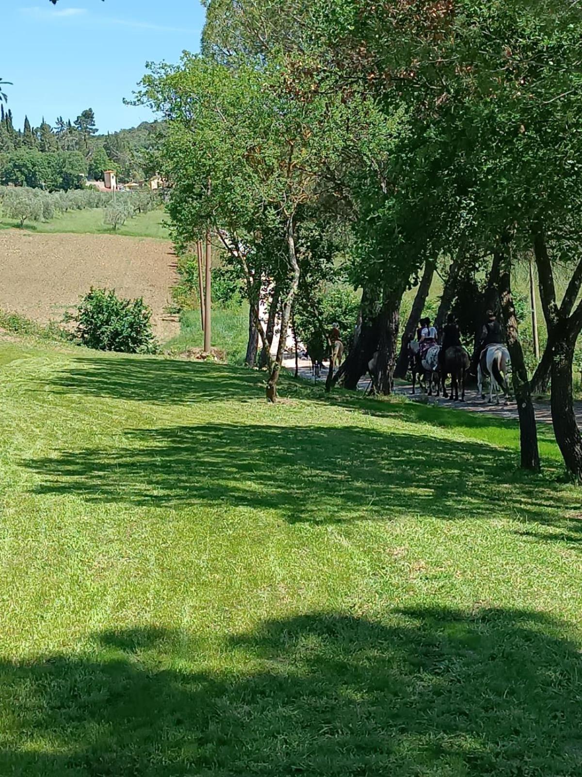 La Casa Dei Breton Lägenhet Magione Exteriör bild